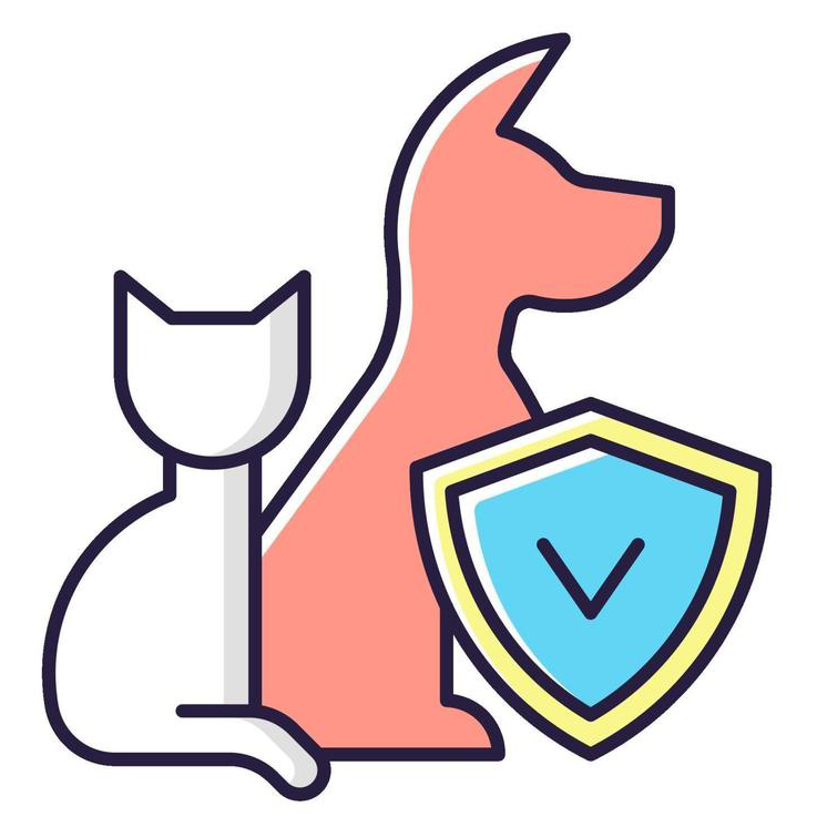 PET INSURANCE